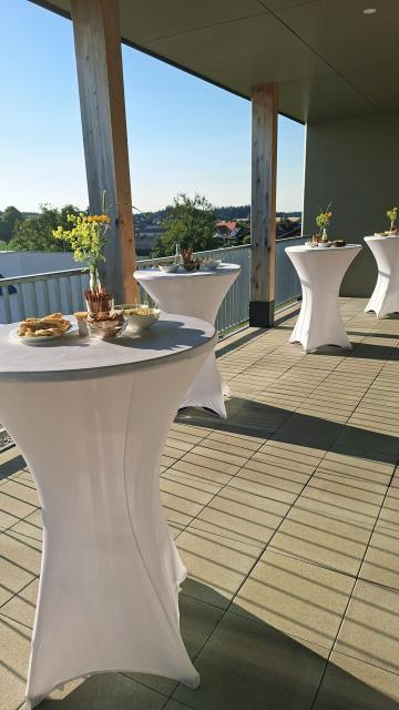 Gin Verkostung