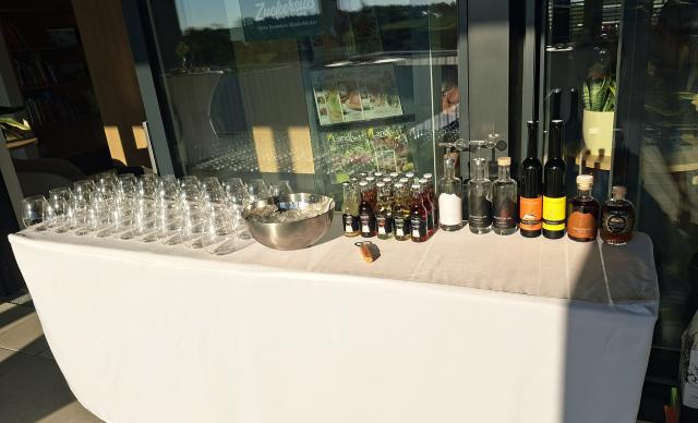 Gin Verkostung